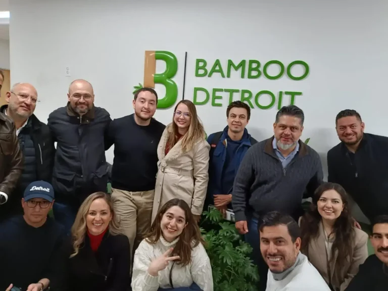 Innova lab 2024-2025